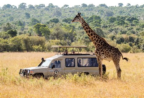 6-Day Luxury Lodging Safari In Tanzania | experitour.com