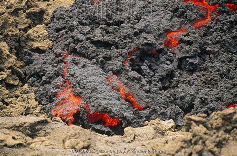 Minden Pictures stock photos - Advancing Aa lava flow slowly covering older weathered flow, Cape ...