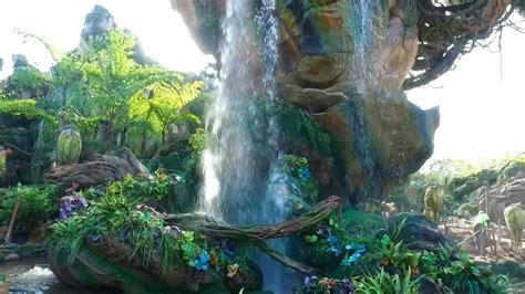 First look at Disney World's Pandora -- The World of Avatar | ABC News ...