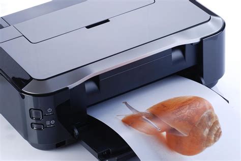 What is a Printer Fuser? (with pictures)