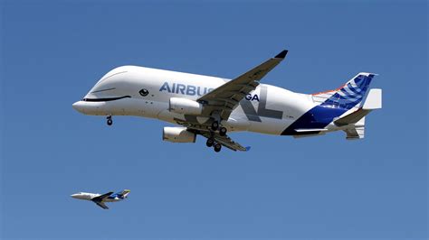 Cómo es el Beluga ST, el avión-ballena que surcó los cielos latinoamericanos por primera vez en ...