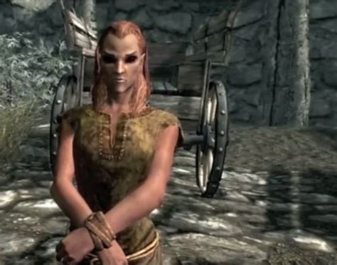 Skyrim: Bosmer - Orcz.com, The Video Games Wiki