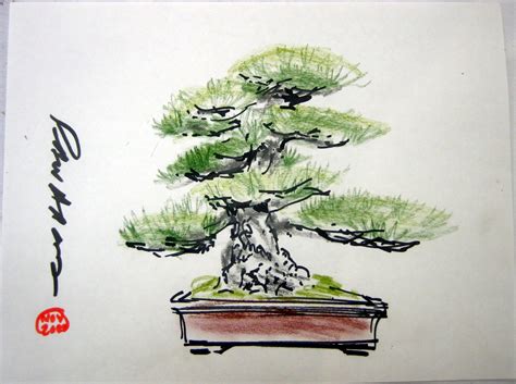 bonsai | Proyectos