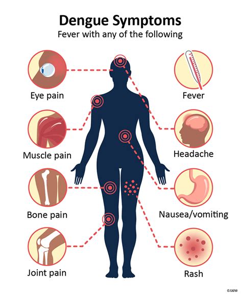 Dengue fever warning for travellers - Outback Travel Australia