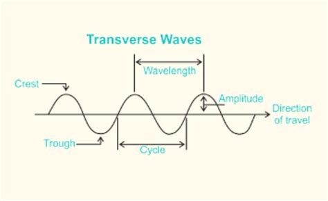 Transverse Waves-Examples, Diagram, And Properties