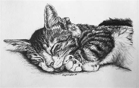 Janet England's Blog: Custom Pen and Ink Cat Drawings by Inspurration