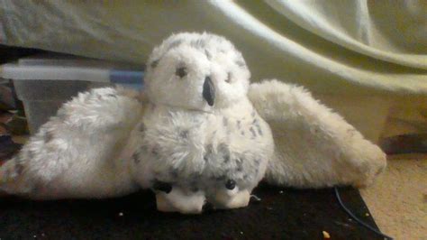 The Snowy Owl puppet by Folkmanis from Baby Bach | Baby einstein toys, Baby einstein, Einstein toys