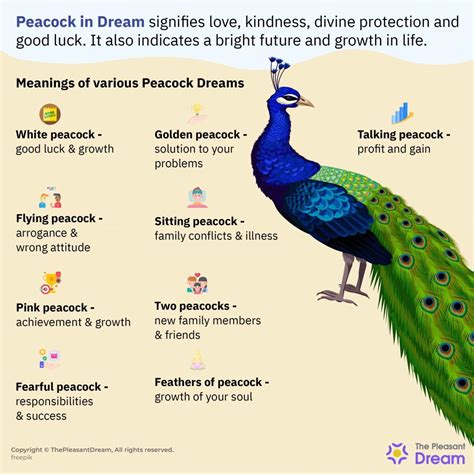 Peacock in Dream - Discover the Meaning & Interpretations