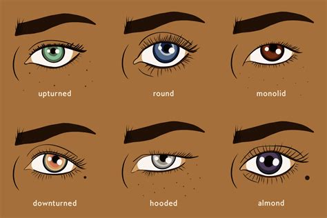 Eye Shapes and How to Apply Makeup for Each | Eye shape makeup, Eye ...