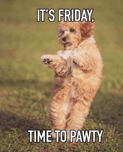 Tgif Meme GIF - Tgif meme - Discover & Share GIFs