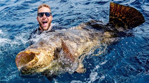 Giant Grouper Fishing Battle – Bass Manager | The Best Bass Fishing ...