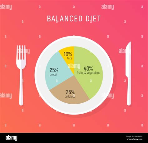 Healthy diet food, balance nutrition plate. Vector health meal chart ...