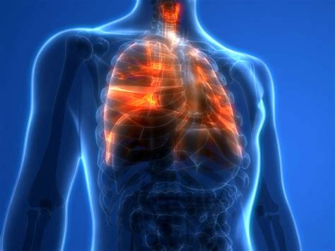 Does Lung Cancer Pain Move Around - CancerWalls