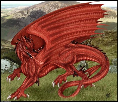 Welsh Dragon by DrakainaQueen on DeviantArt