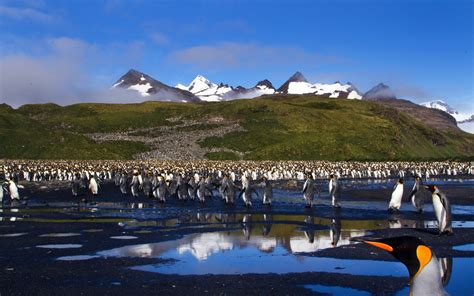 South Georgia Island