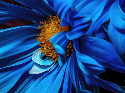 5 Cool Websites on the Art of Macro Photography | Light Stalking