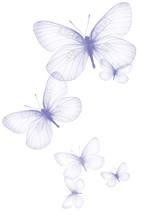 Butterfly Clip art - Transparent Butterfly PNG Clipart Picture png download - 1422*2057 - Free ...