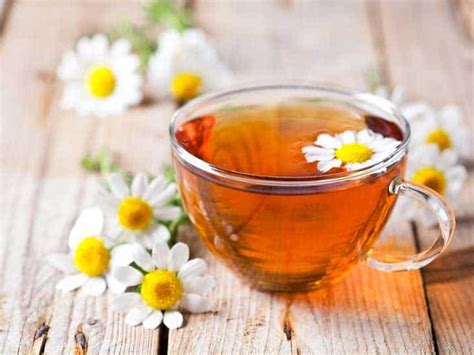 Top 17 Best Chamomile Tea Brands Reviews 2024