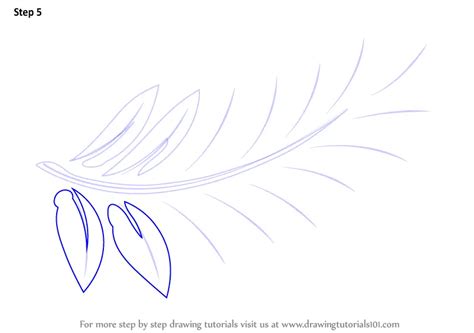 Learn How to Draw Fern-fronds (Plants) Step by Step : Drawing Tutorials