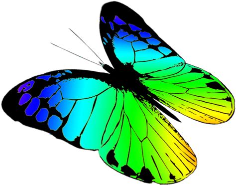 Butterfly Clip Art Transparent Background