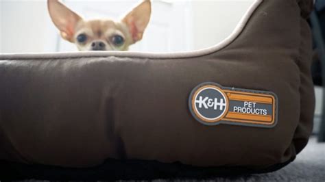 Heated dog bed review: Your dog will love this heated K&H Products bed - Reviewed