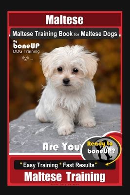 Maltese, Maltese Training Book for Maltese Dogs By BoneUP DOG Training, Are You Ready to Bone Up ...