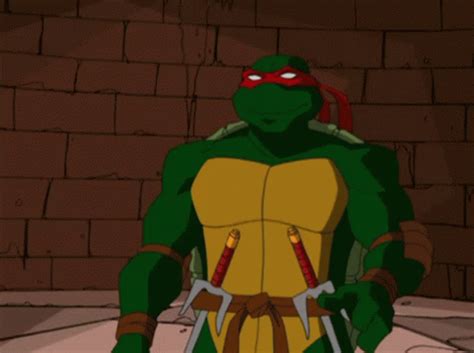 Tmnt 2003 GIF - Tmnt 2003 Raph - 发现和分享 GIF