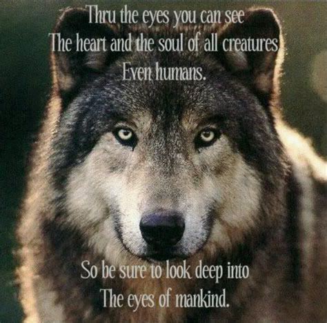 Alpha Wolf Quotes. QuotesGram