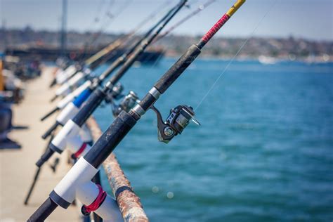 San Diego Pier Fishing: All You Need to Know