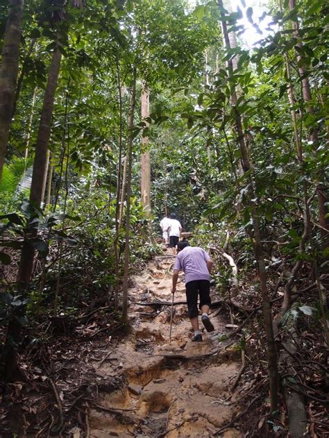 Hutan Simpan Ayer Hitam Puchong (Ayer Hitam Forest Reserve Puchong)