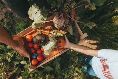 18 Fall Vegetables To Plant Now For A Fall Harvest