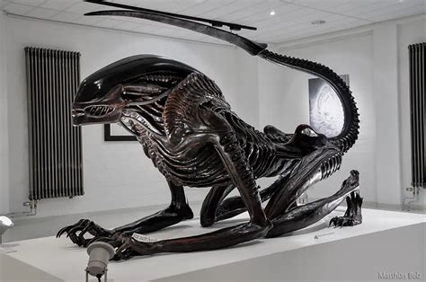 New Alien: Covenant Xenomorph head design revealed? (Updated & Clarified)