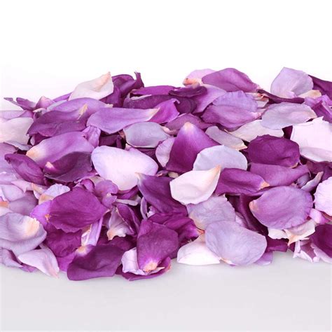 Purple Impression Rose Petal Confetti - mixed purple rose petals - Simply Rose Petals