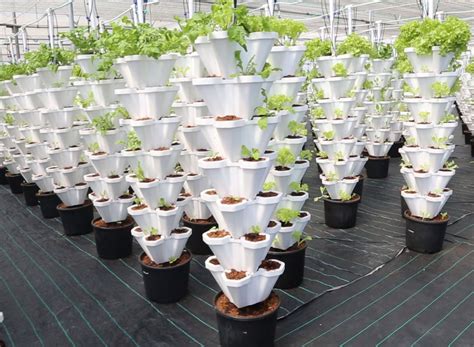 Hydroponic Farming in India | Hydroponic Vertical Farming | Higronics