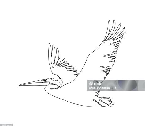 Flying Pelican Continuous Line Drawing With Editable Stroke Stock ...