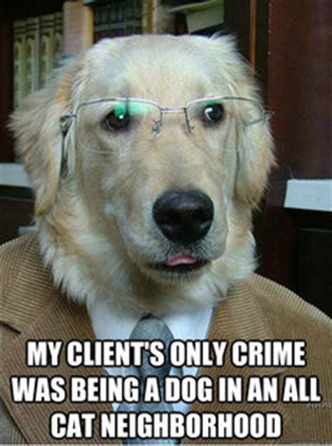 Famous Dog Lawyer memes | quickmeme