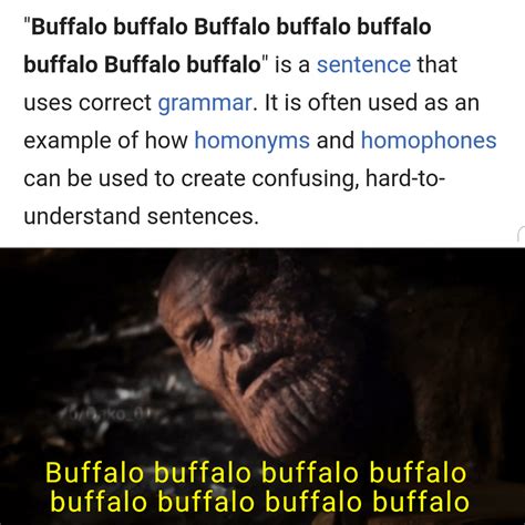 I used buffalo to buffalo buffalo : memes