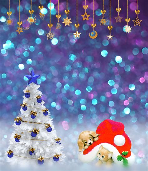 Download Dog, Kitten, Christmas Background. Royalty-Free Stock ...