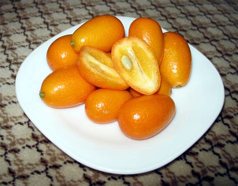 Kumquat Varieties: 4 Delicious Ones