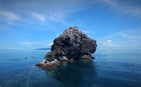 Diving in Koh Phangan: Traveller’s Guide for 2024