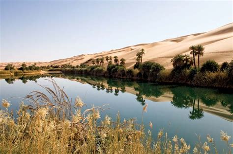 Oasis | Desert Oasis, Arid Climate & Water Sources | Britannica