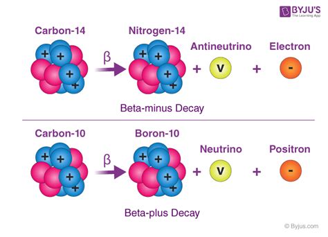 Beta Decay- Introduction & Types | Examples | FAQs