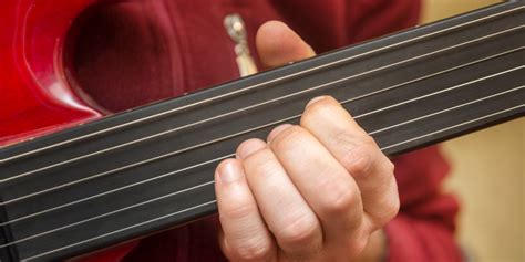 What Is a Fretless Guitar and How To Play It - Learn to Play an Instrument with step-by-step ...