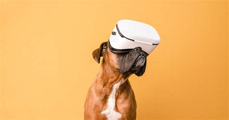 Dog Genius – Virtual Reality Dog Training