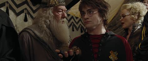 Harry Potter And The Goblet Of Fire - Harry Potter Image (17194176) - Fanpop