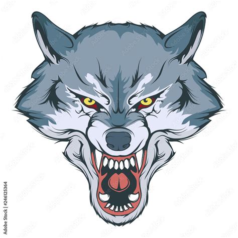 wolf head vector drawing, wolf face drawing sketch, wolf head colored drawing, vector graphics ...