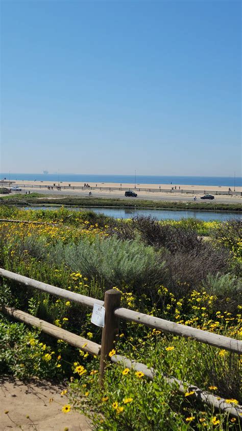 Southern California, Bolsa Chica Wetlands. Had to do a bit of puddle ...