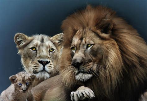 Lion Family Digital Art by Julie L Hoddinott