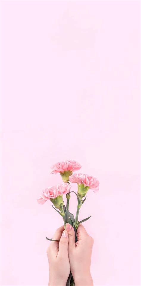 [100+] Aesthetic Baby Pink Backgrounds | Wallpapers.com