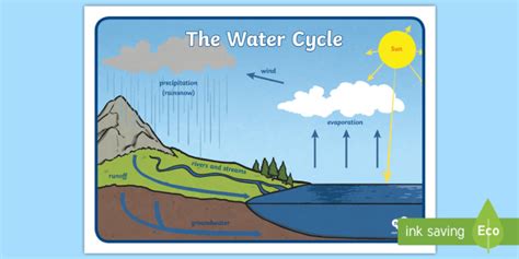 Water Cycle Poster For Kids